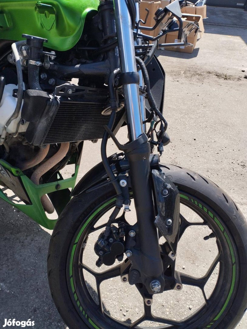 Kawasaki Z 300 Akrapovic