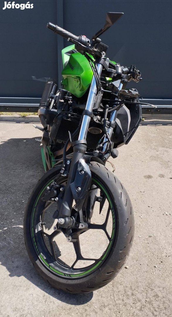 Kawasaki Z 300 Akrapovic