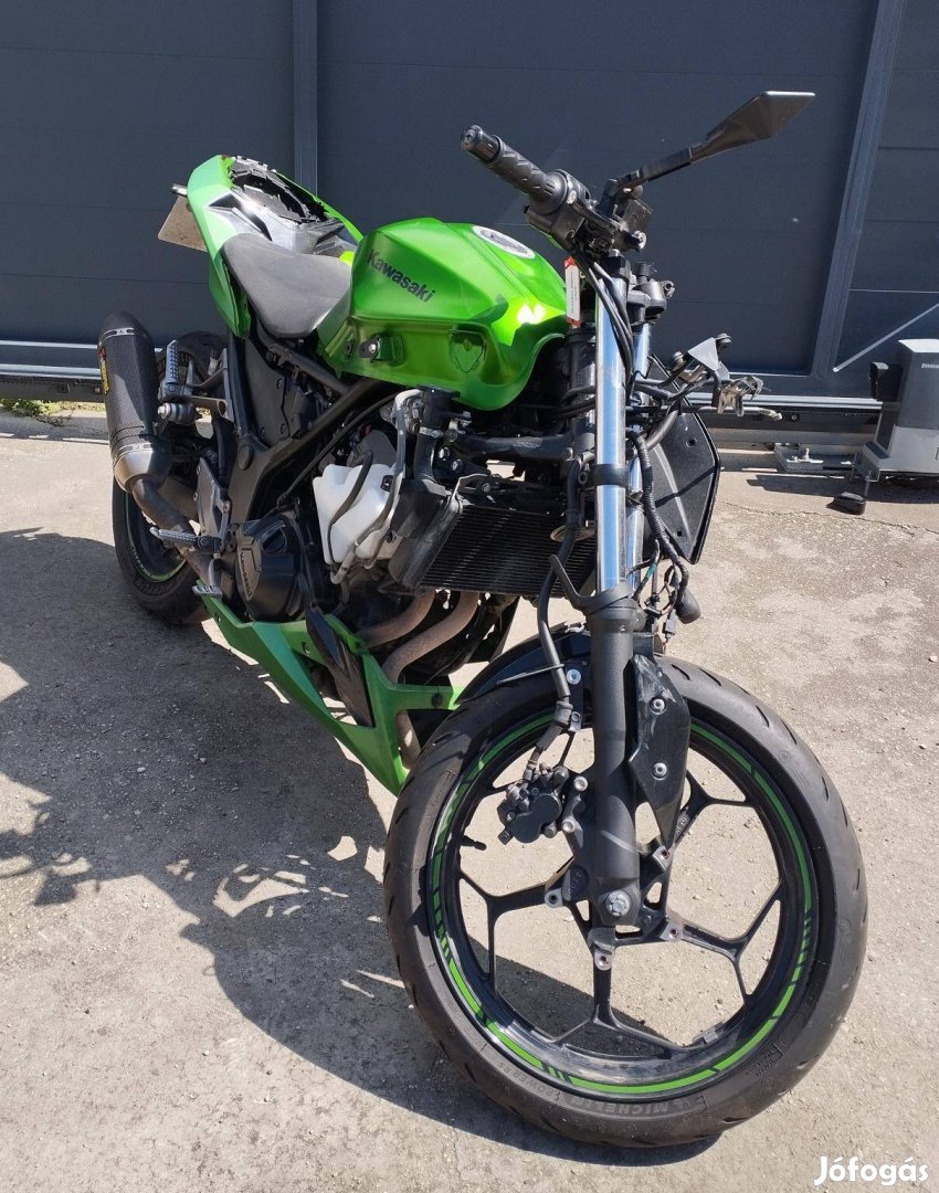 Kawasaki Z 300 Akrapovic