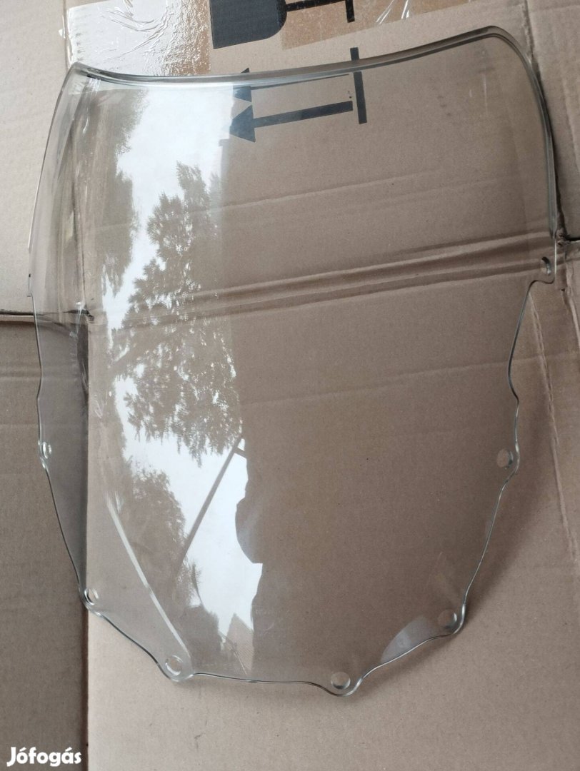 Kawasaki zzr 600 plexi