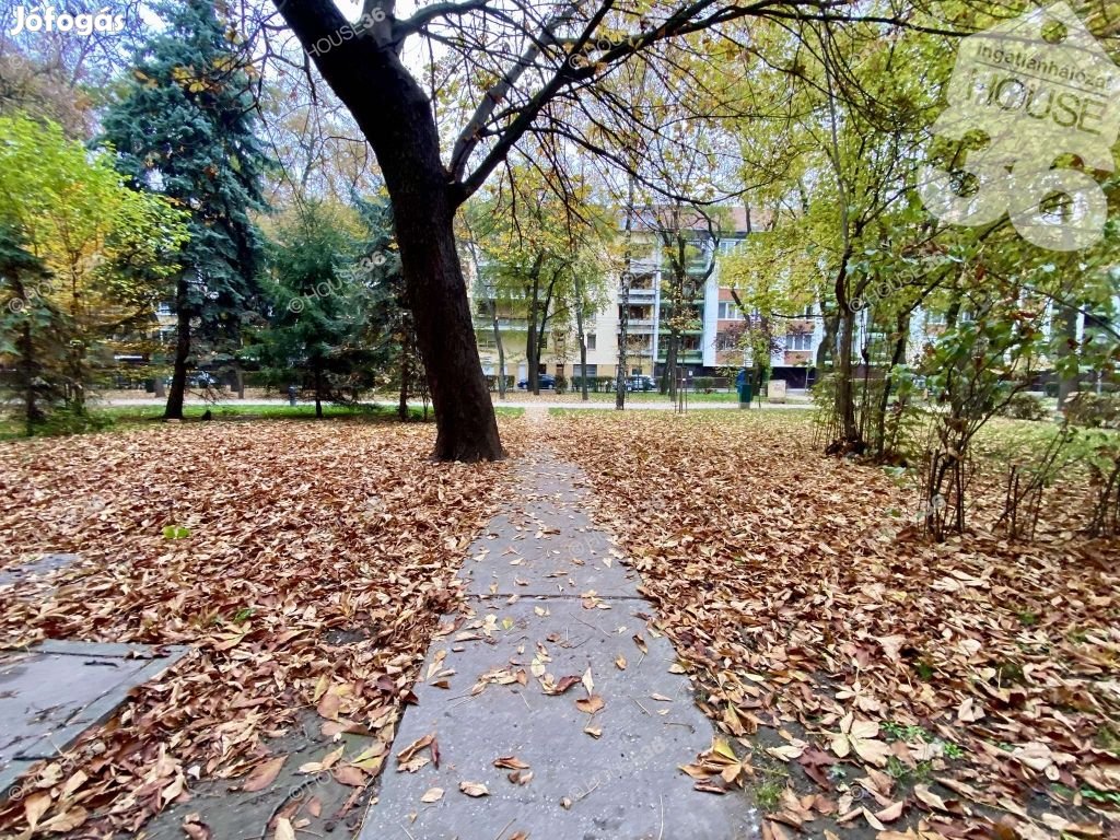 Kecskemét Belvárosában a GYENES TÉREN, nappali + 1 szobás lakás eladó!