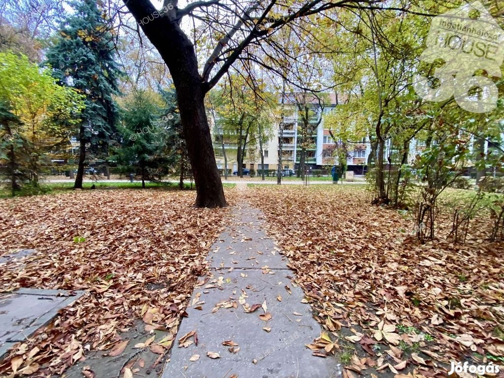 Kecskemét Belvárosában a GYENES TÉREN, nappali + 1 szobás lakás eladó!