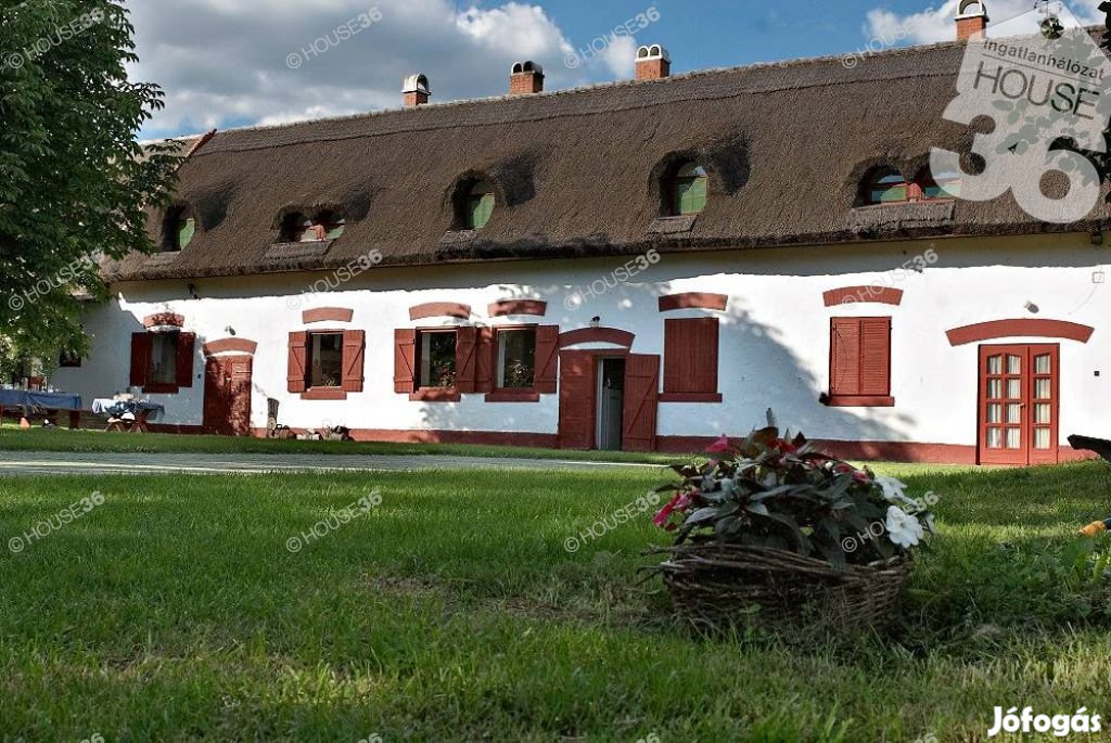 Kecskemét közelében lovas tanya és panzió,16 hektár földdel ELADÓ