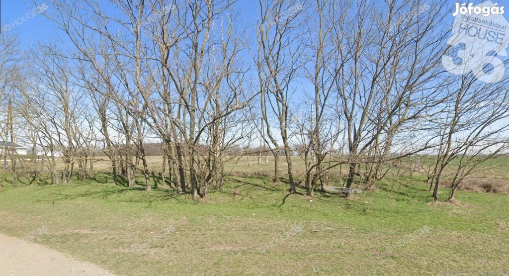 Kecskeméten ,10000 m2 területű telek, KMÜ hasznosításra eladó.