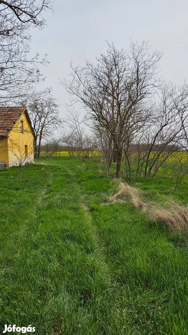 Kecskeméten nagy Tescohoz közel felújítandó ház eladó