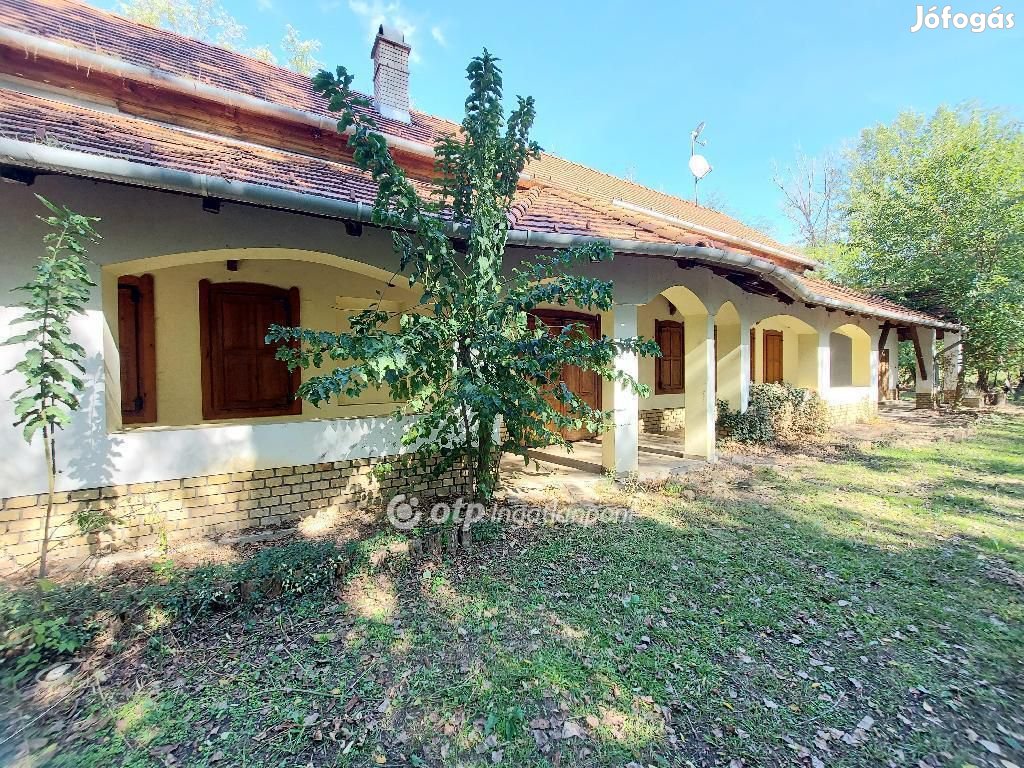 Kecskeméti 228 nm-es ház eladó