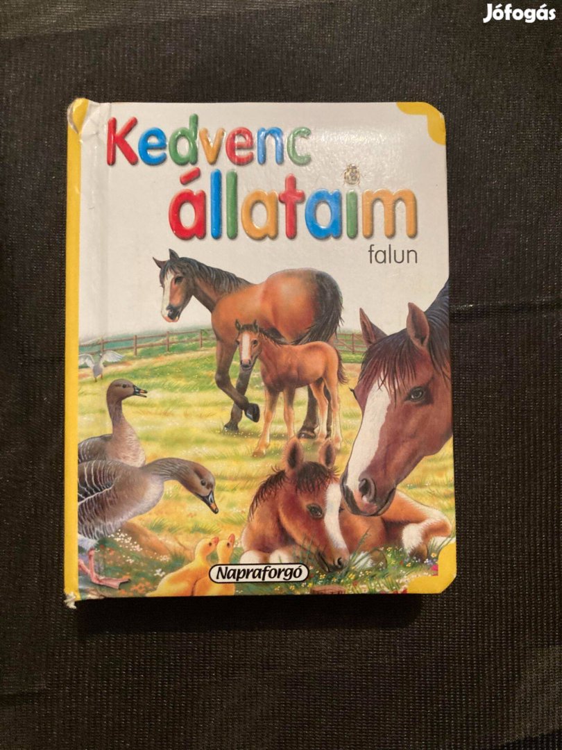 Kedvenc allataim