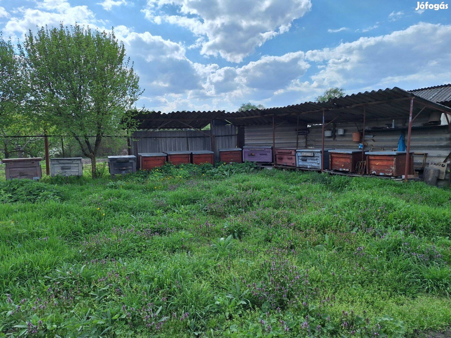 Kedvező áron méhkaptár eladó