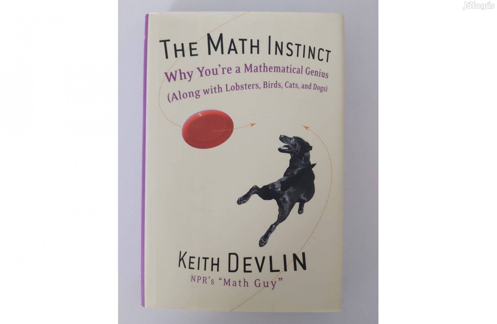Keith Devlin: The Math Instrict angol nyelvű Személyesen átvehető Bu