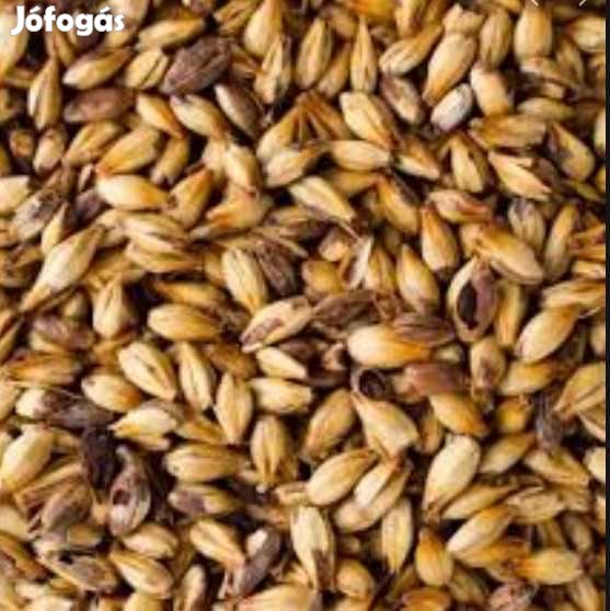 Keksz Maláta (Biscuit) EBC 50  1kg  (1030)