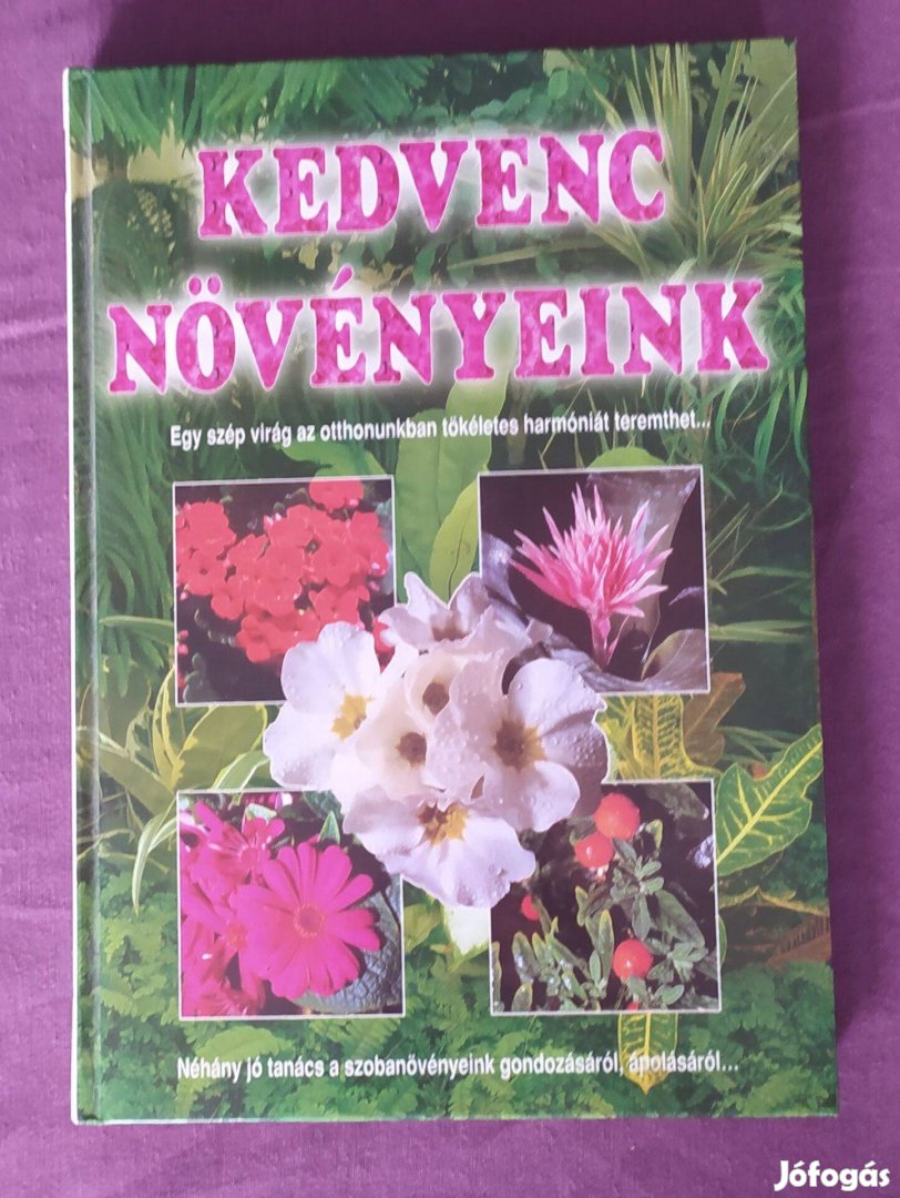 Kelemen Veronika: Kedvenc növényeink