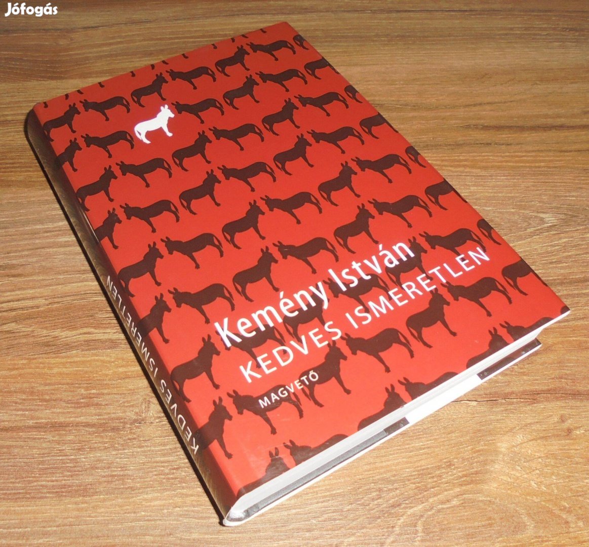 Kemény István: Kedves ismeretlen