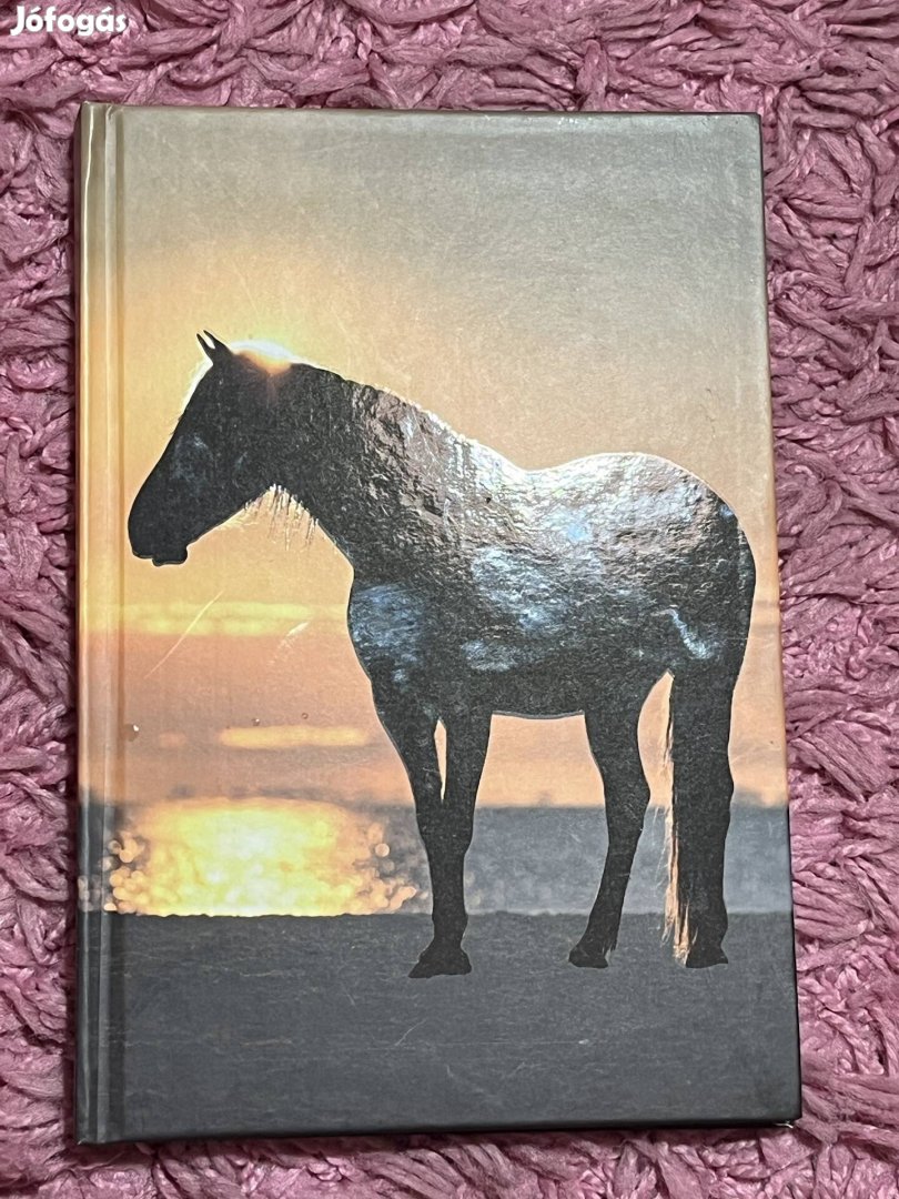 Keményfedeles lovas Bullet Journal füzet