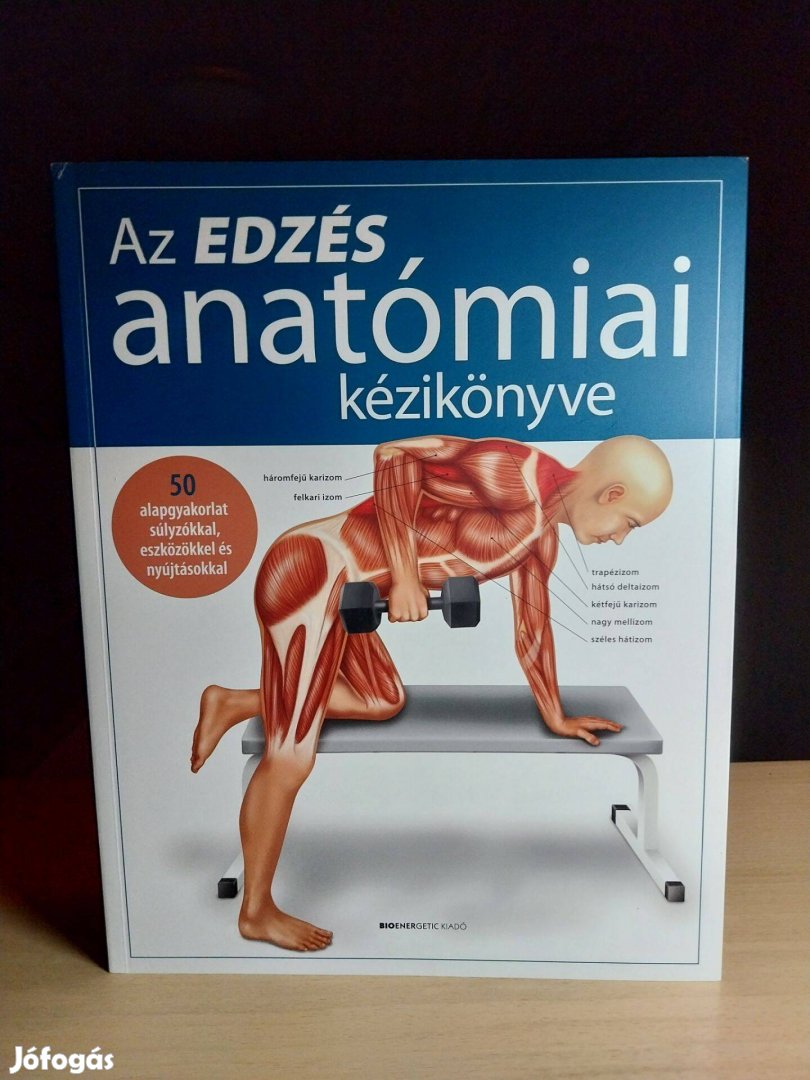 Ken Ashwell: Az edzés anatómiai kézikönyve