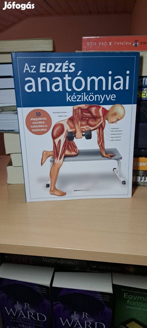 Ken Ashwell: Az edzés anatómiai kézikönyve