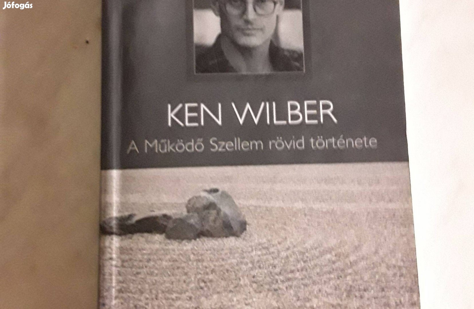 Ken Wilber: A Működö Szellem rövid története