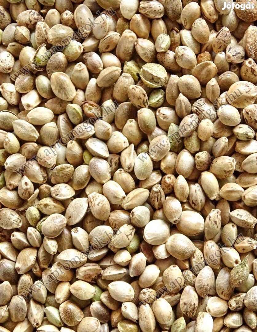 Kendermag, Kender Mag Eladó Postai Utánvétellel Is