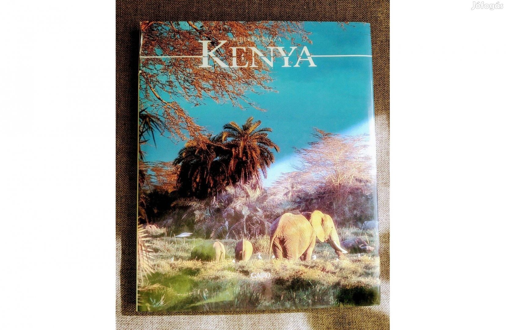 Kenya (Kilátó sorozat) Arnaldo Alberti Biográf