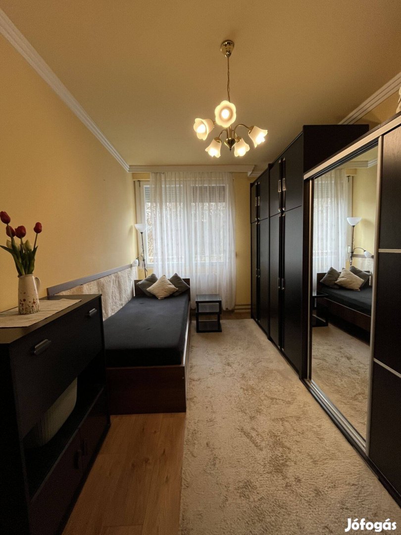 Kényelmes otthon, zöld környezet, remek közlekedés!