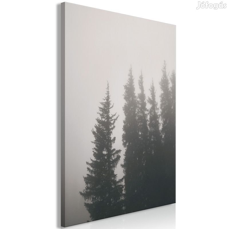 Kép - A leszálló köd illata