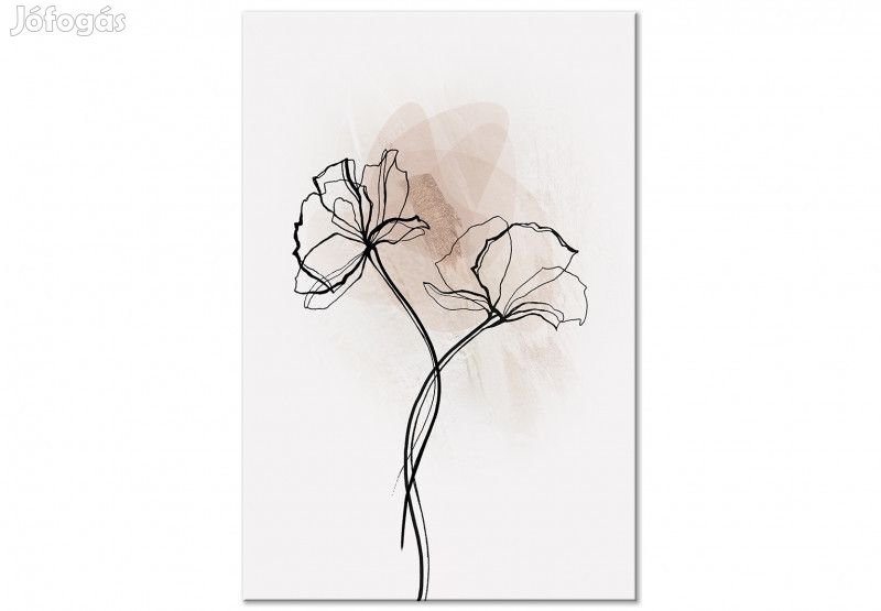 Kép - A naphoz közelítve