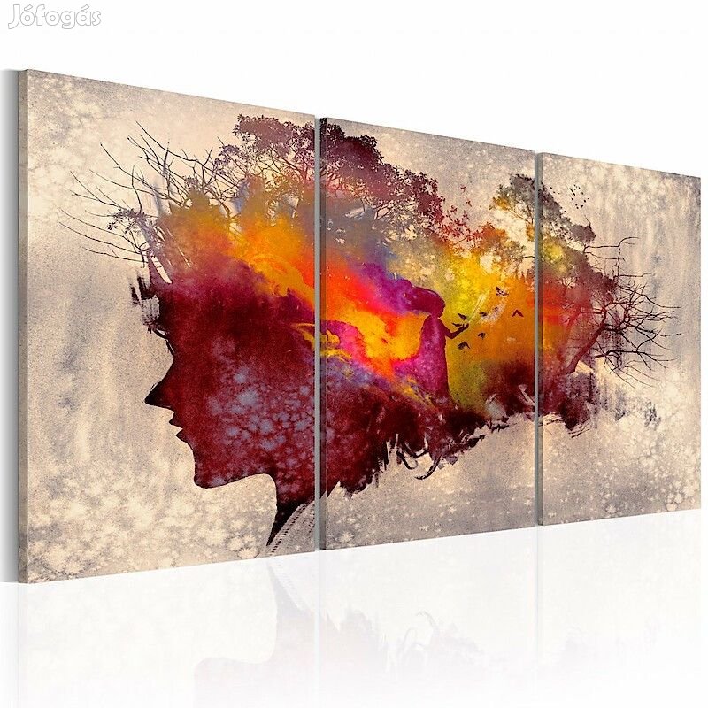 Kép - Az erdő rejtélyei