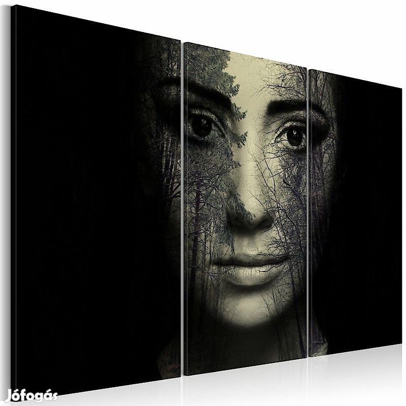 Kép - Az erdő védelmében