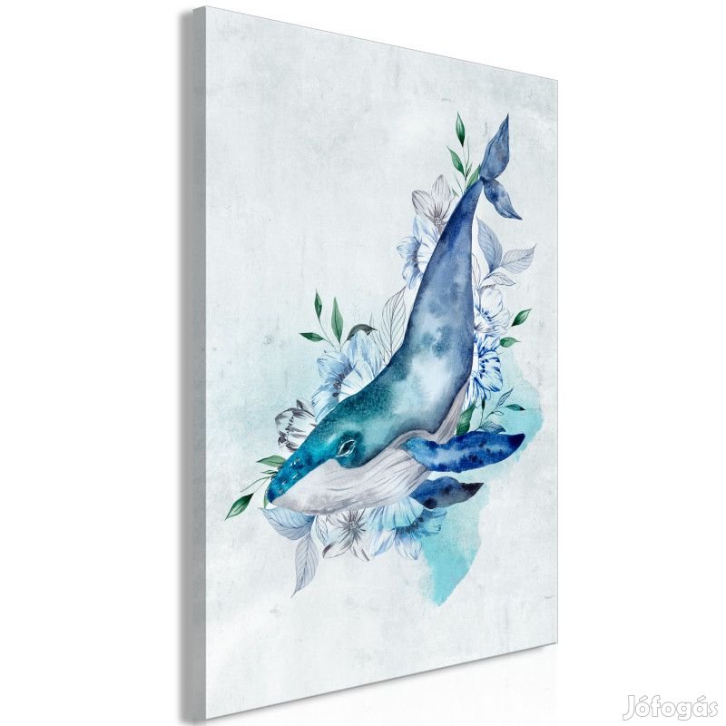 Kép - Bálna fiú