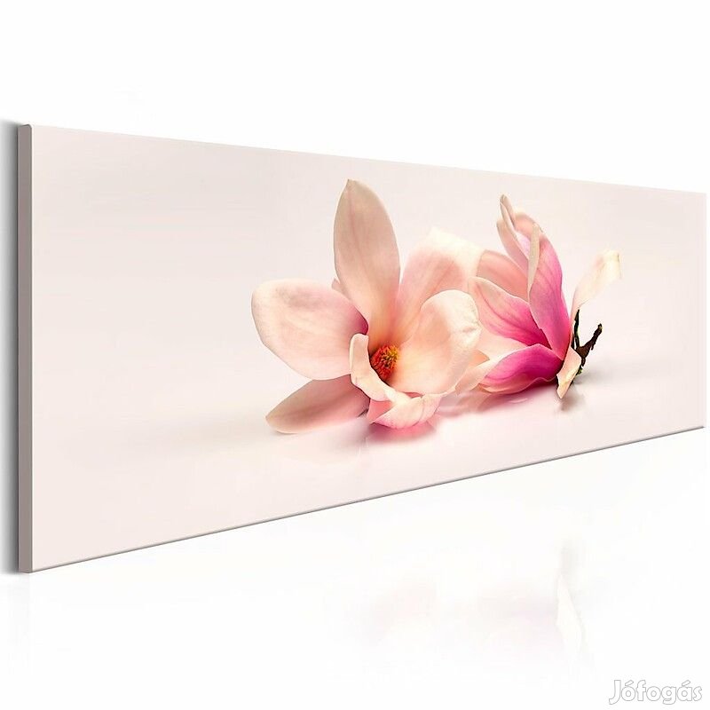 Kép - Csodálatos Magnóliák