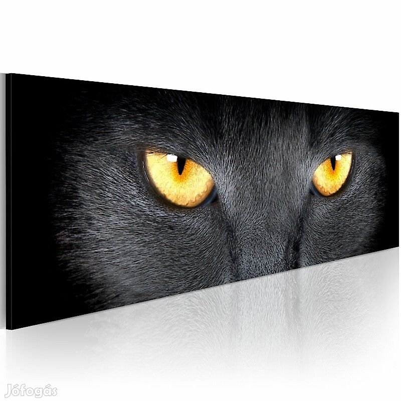 Kép - Dermesztő szempár