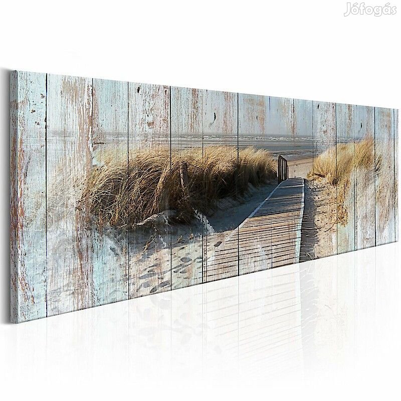 Kép - És a nyár kezdetét veszi 5