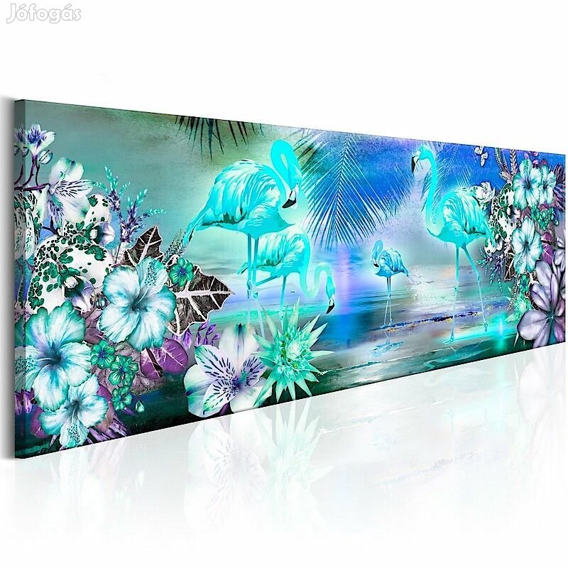 Kép - Flamingók földje 2
