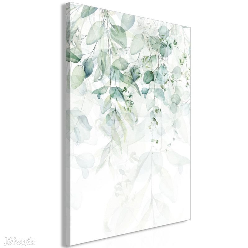 Kép - Gyengéd természet