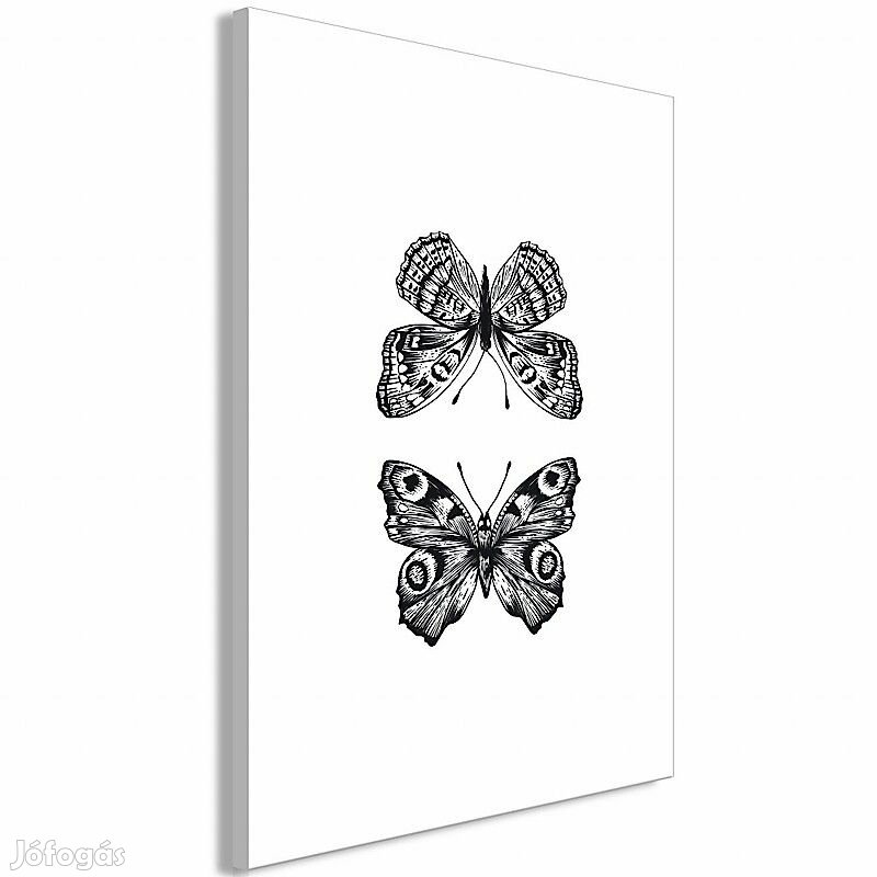 Kép - Két pillangó