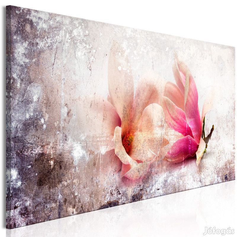 Kép - Magnólia története