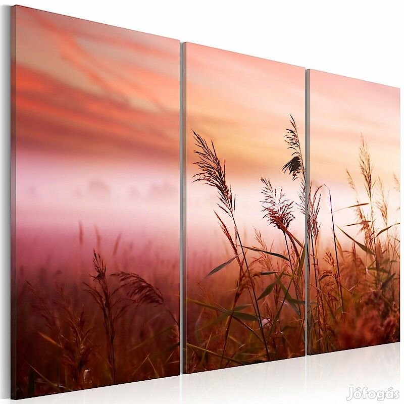 Kép - Nádas naplemetében