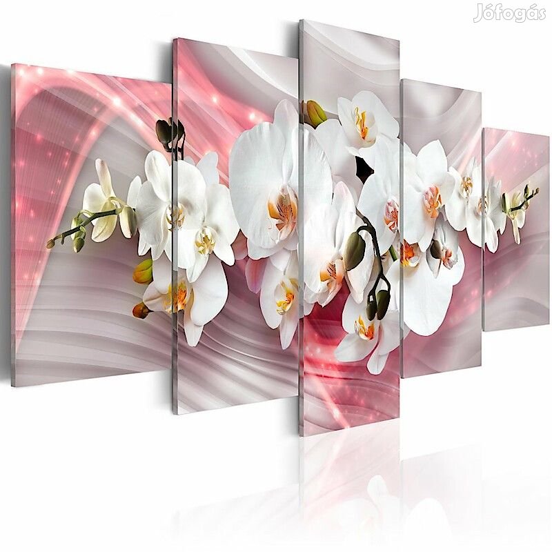 Kép - Napos ösvény 2