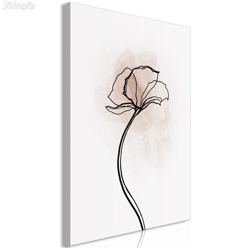 Kép - Napozó virág