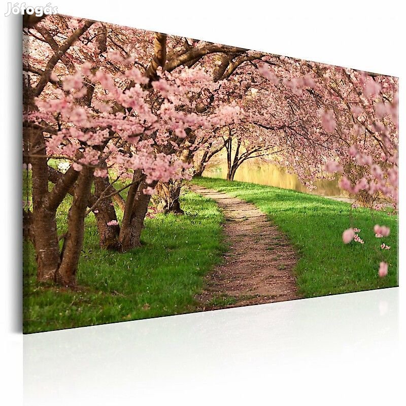 Kép - Ösvény rózsaszín fákkal