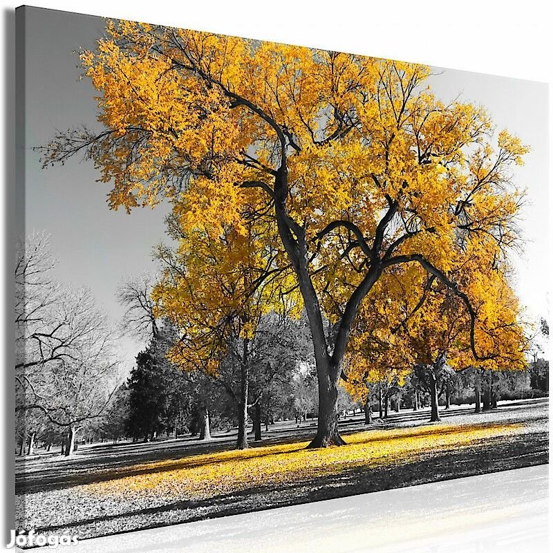 Kép - Ősz a parkban aranysárga