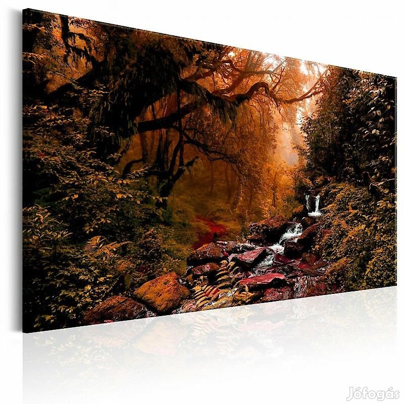 Kép - Őszi erdő patakkal