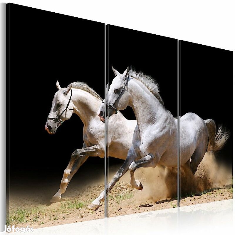 Kép - Páros vágta