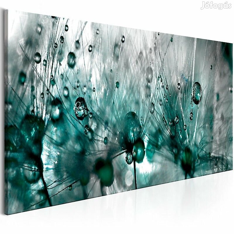 Kép - Pitypang eső után 2