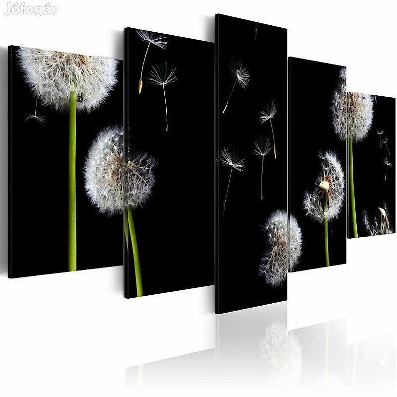 Kép - Pitypangok fekete háttérrel 2