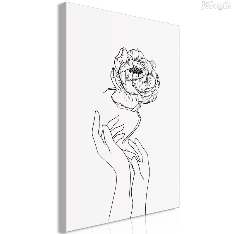 Kép - Rózsa fekete fehérben