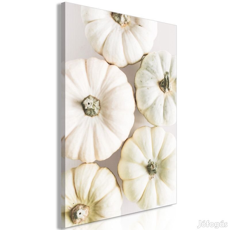 Kép - Sütőtök csapat