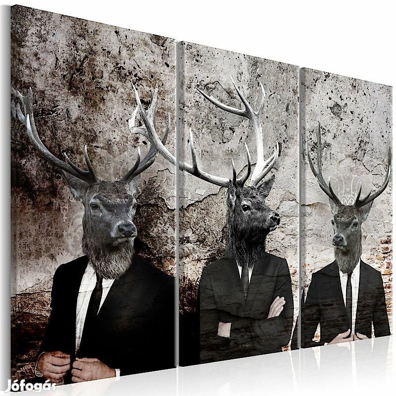 Kép - Szarvas trió 4