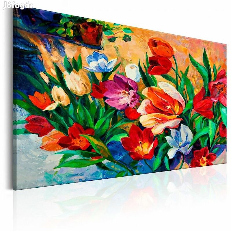 Kép - Színes tulipánok