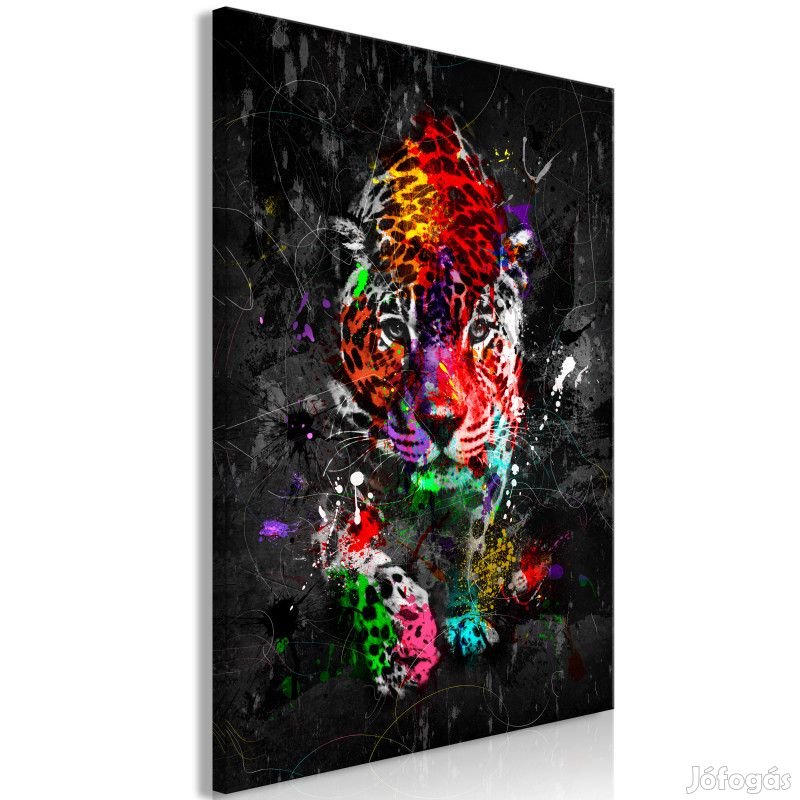 Kép - Szivárványos Párduc