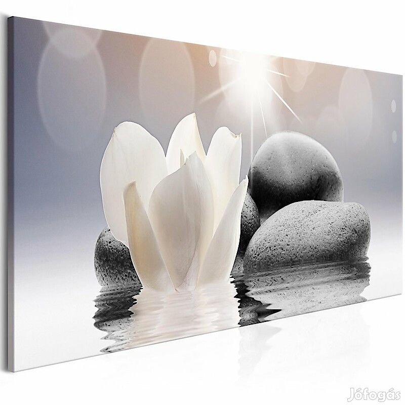 Kép - Természetes fény 4